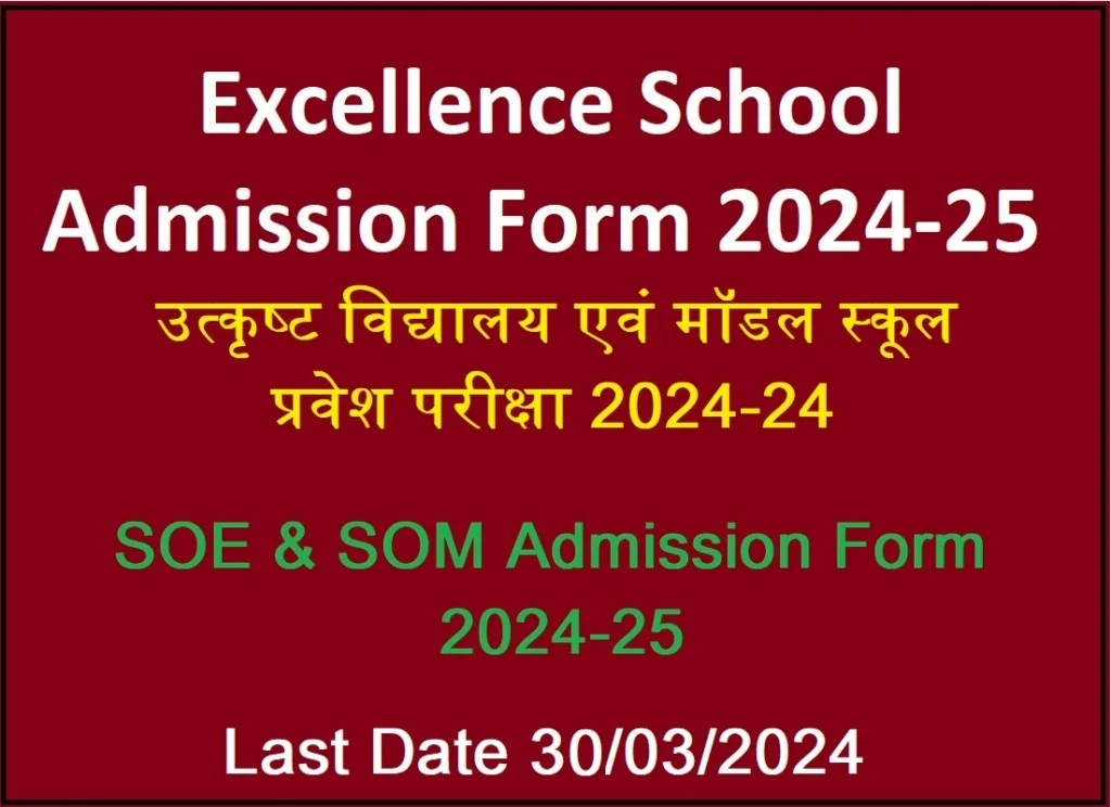 Excellence School Admission Form 2024-25